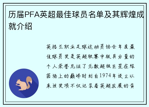 历届PFA英超最佳球员名单及其辉煌成就介绍